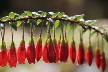 佛山南海区私人快速借钱网，轻松解决资金难题