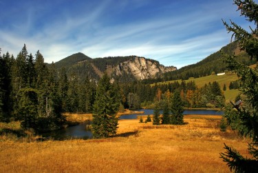 佛山南海区民间私贷攻略：揭秘低成本借贷的秘密