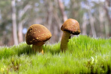 佛山南海区私人老板放款：轻松融资的秘密通道